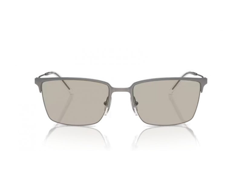 Emporio Armani Zonnebril EA 2155 3003/3