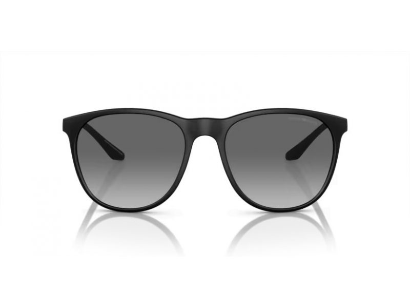 Emporio Armani Zonnebril EA 4210 500111