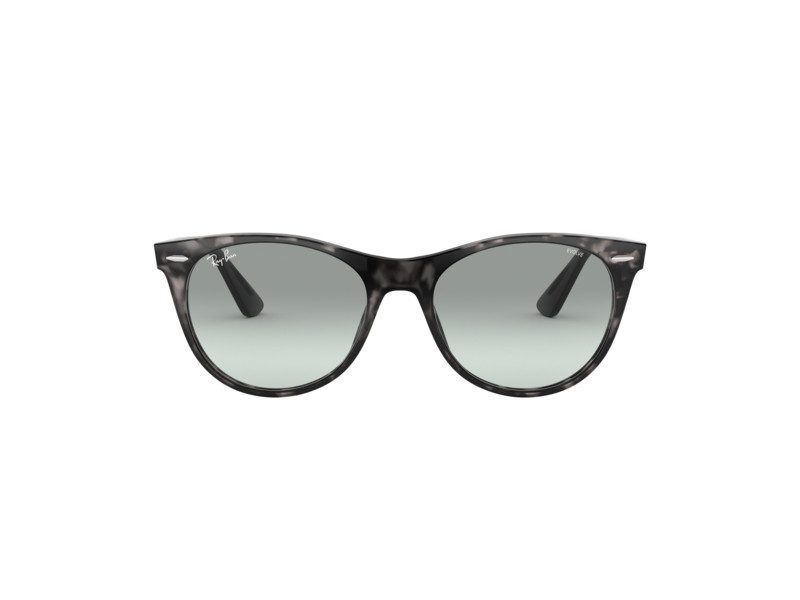 Ray-Ban Wayfarer Ii Zonnebril RB 2185 1250/AD