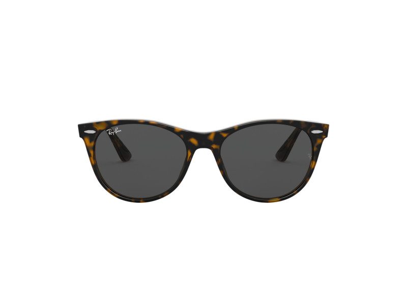 Ray-Ban Wayfarer Ii Zonnebril RB 2185 1292/B1