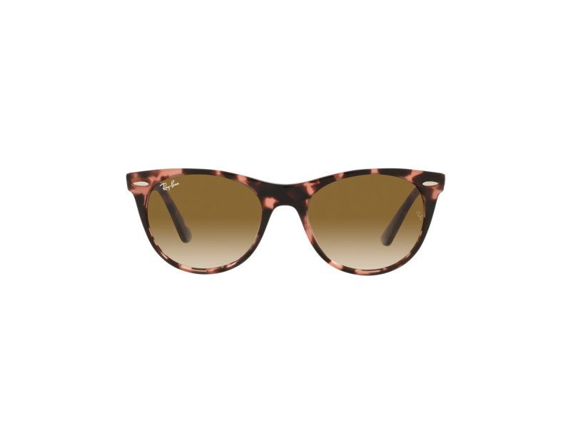 Ray-Ban Wayfarer Ii Zonnebril RB 2185 1334/51