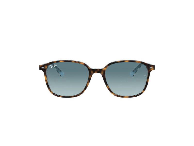 Ray-Ban Leonard Zonnebril RB 2193 1316/3M