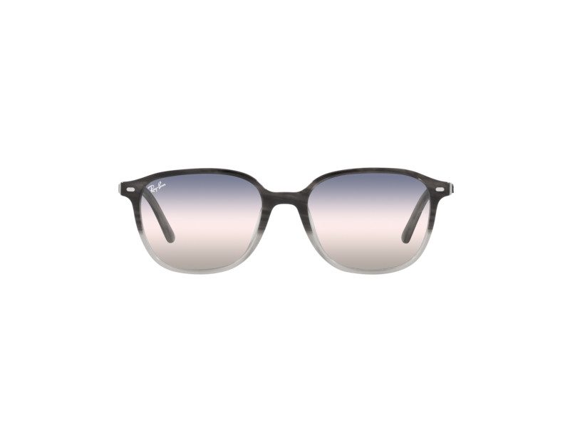 Ray-Ban Leonard Zonnebril RB 2193 1326/GE