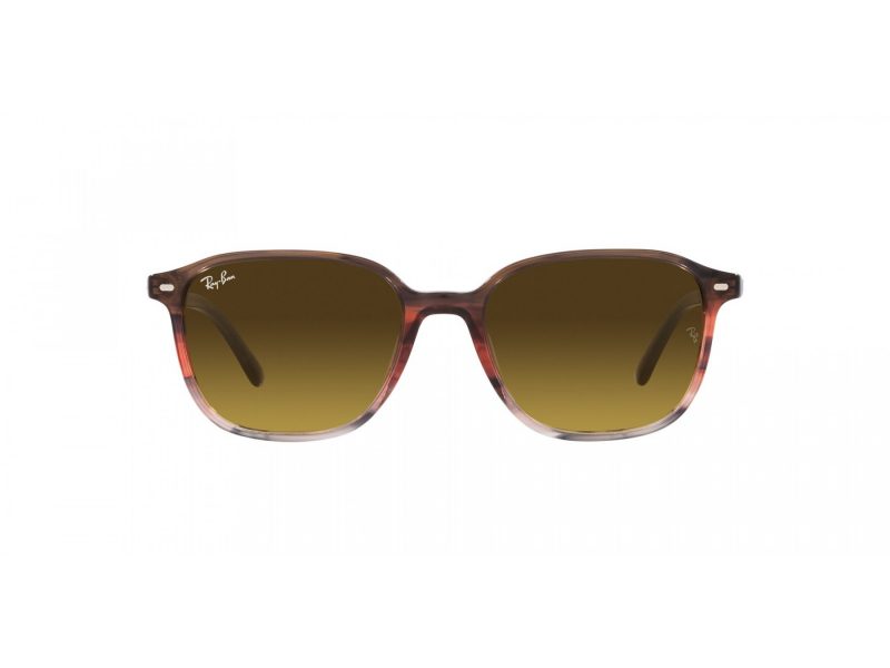 Ray-Ban Leonard Zonnebril RB 2193 138085