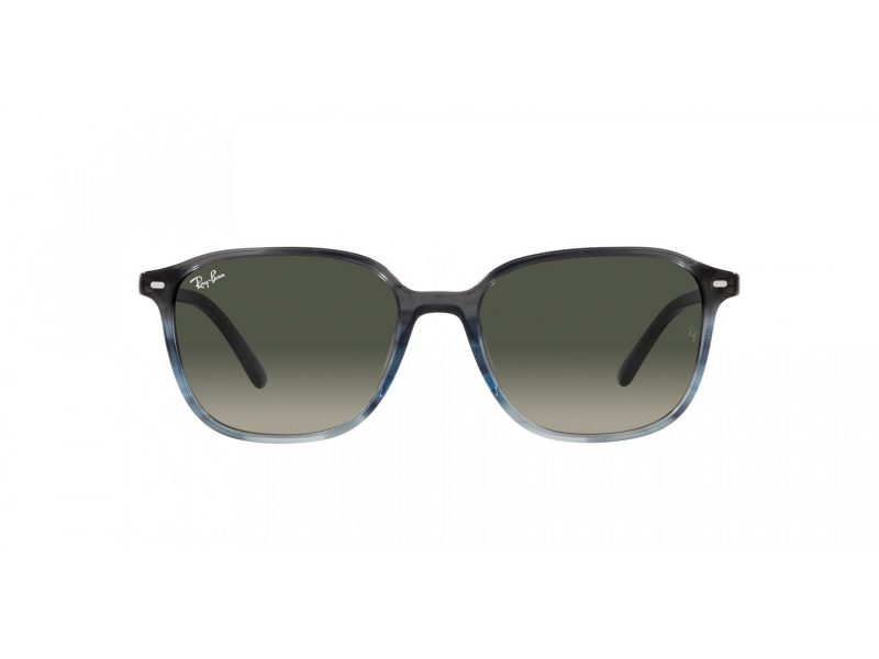 Ray-Ban Leonard Zonnebril RB 2193 138171