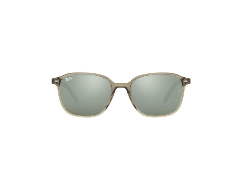 Ray-Ban Leonard Zonnebril RB 2193 6635/5C