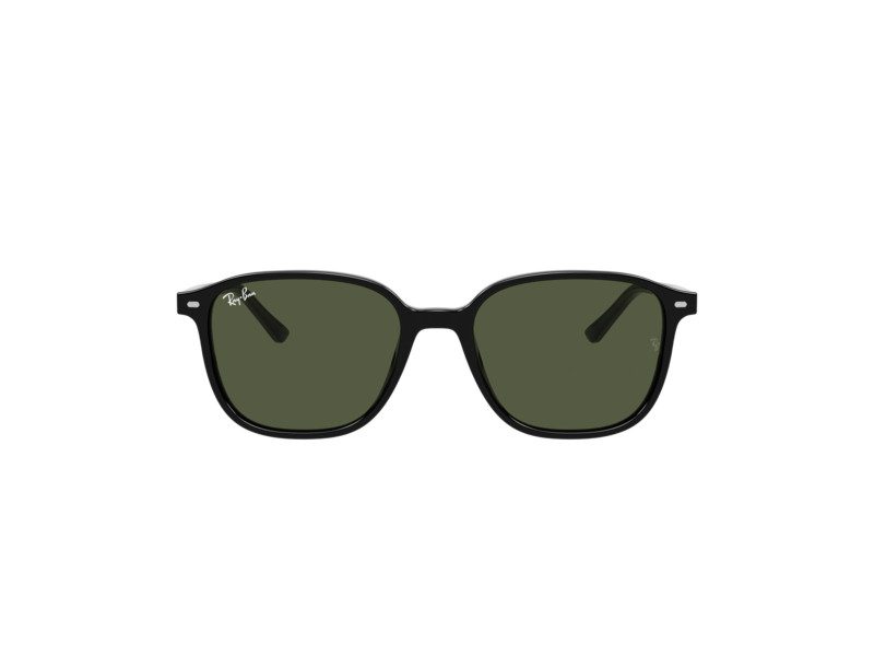 Ray-Ban Leonard Zonnebril RB 2193 901/31