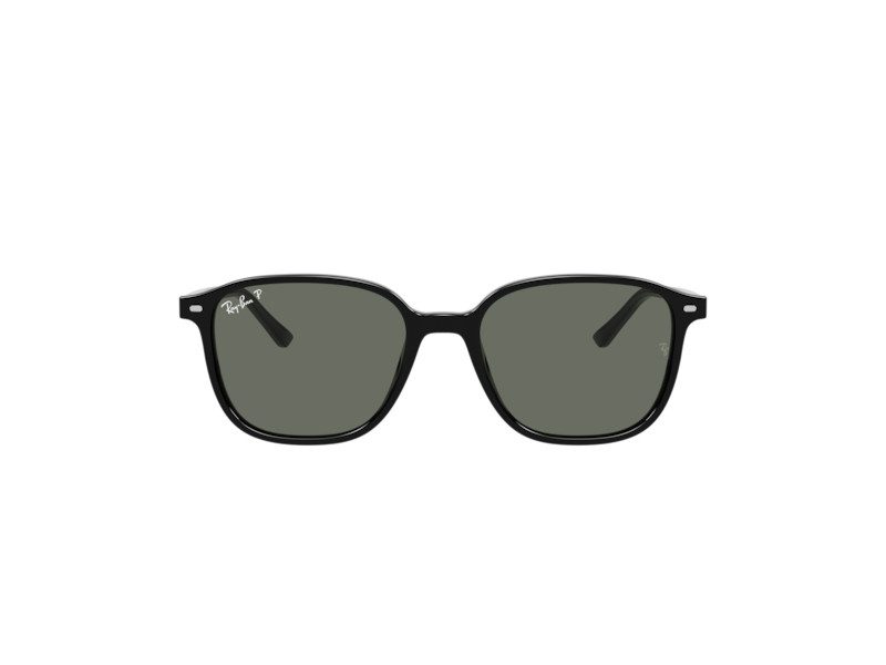 Ray-Ban Leonard Zonnebril RB 2193 901/58