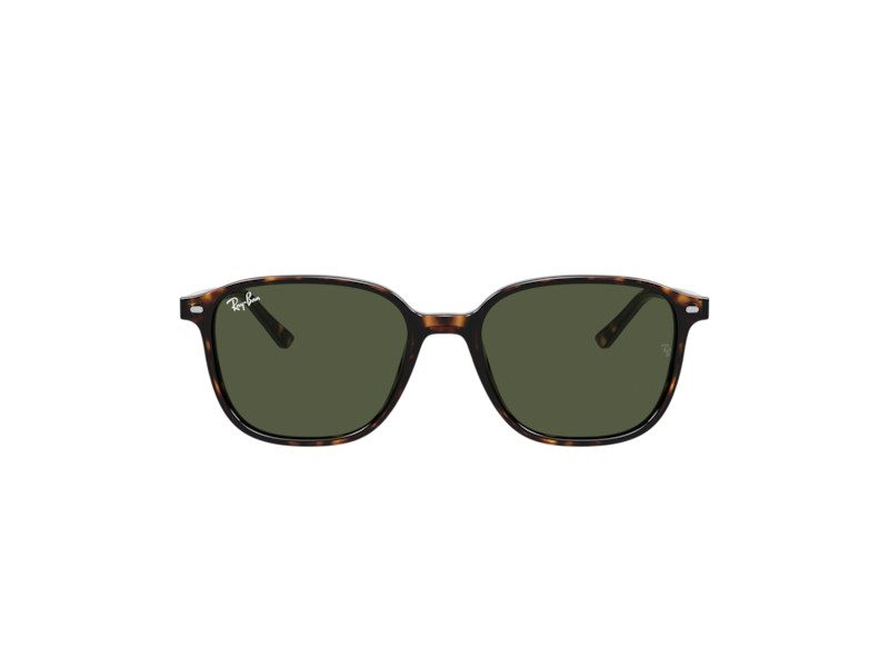 Ray-Ban Leonard Zonnebril RB 2193 902/31