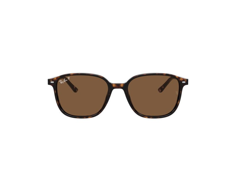 Ray-Ban Leonard Zonnebril RB 2193 902/57