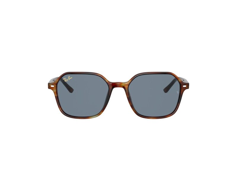 Ray-Ban John Zonnebril RB 2194 954/62