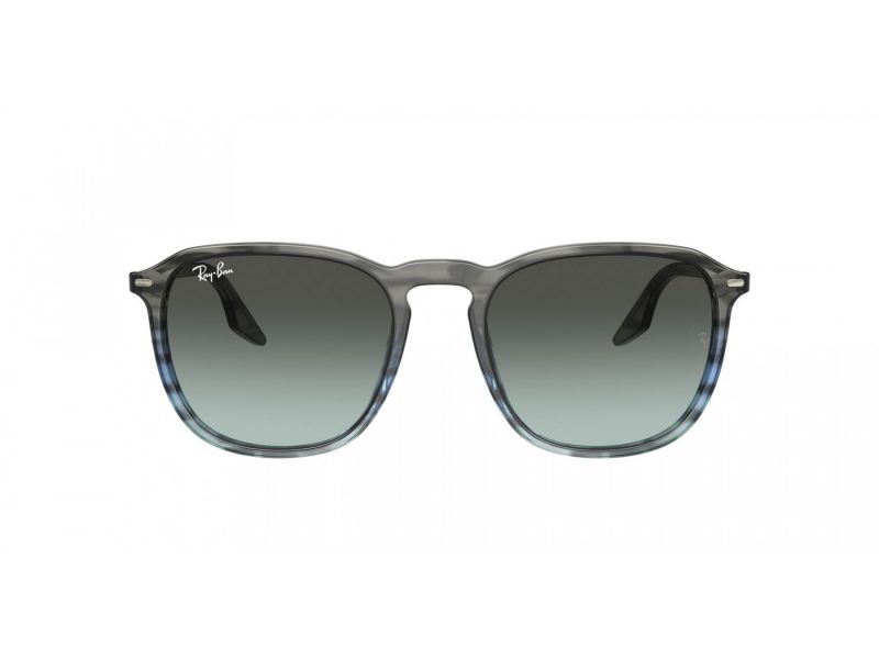 Ray-Ban Zonnebril RB 2203 1391GK