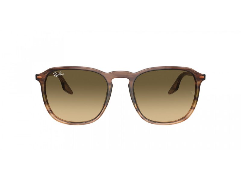 Ray-Ban Zonnebril RB 2203 13920A