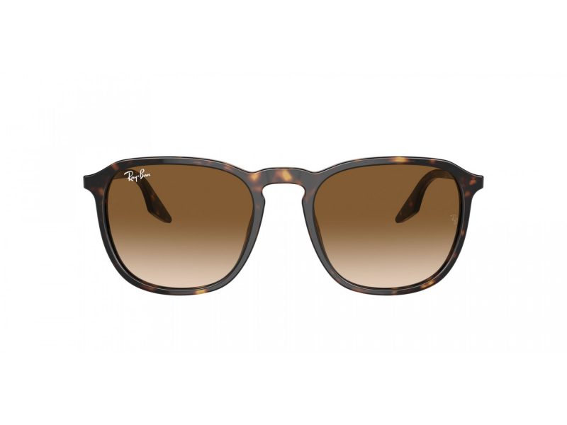 Ray-Ban Zonnebril RB 2203 902/51