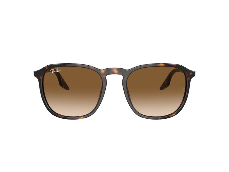 Ray-Ban Zonnebril RB 0RB2203 902/51