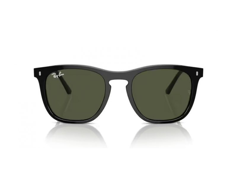 Ray-Ban Zonnebril RB 2210 901/31