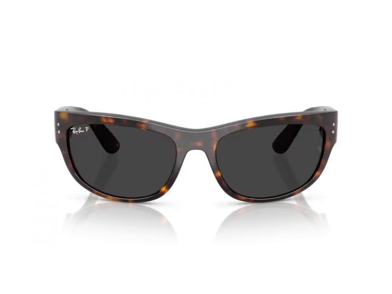 Ray-Ban Mega Balorama Zonnebril RB 2289 902/48