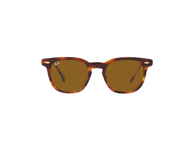 Ray-Ban Hawkeye Zonnebril RB 2298 954/33