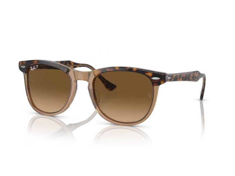 Ray-Ban Eagleeye Zonnebril RB 2398 1292M2