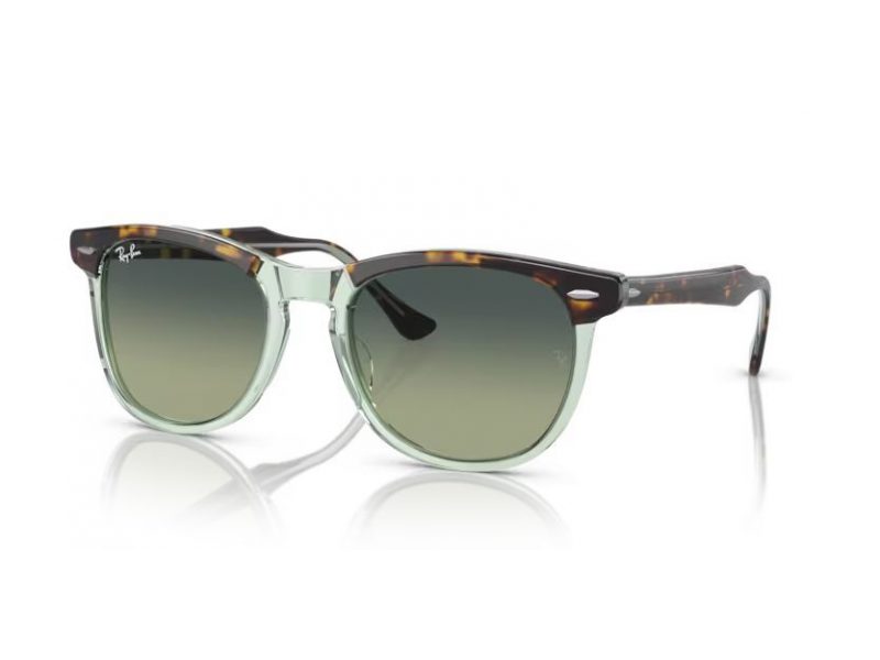 Ray-Ban Eagleeye Zonnebril RB 2398 1376BH