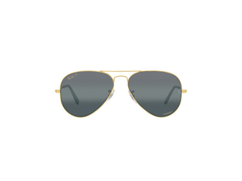 Ray-Ban Aviator Large Metal Zonnebril RB 3025 9196/G6