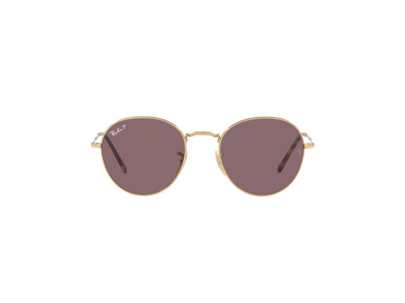 Ray-Ban David Zonnebril RB 3582 001/AF