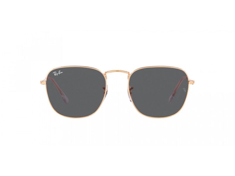 Ray-Ban Frank Zonnebril RB 3857 9202B1