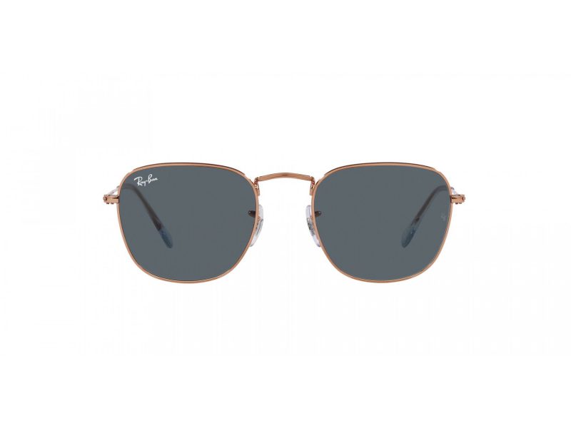 Ray-Ban Frank Zonnebril RB 3857 9202R5