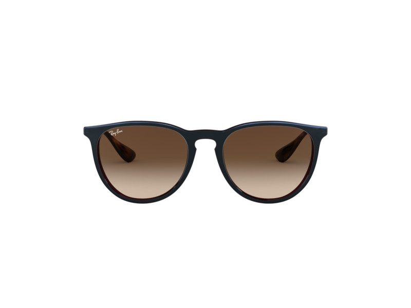 Ray-Ban Erika Zonnebril RB 4171 6315/13