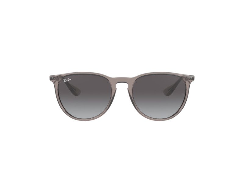 Ray-Ban Erika Zonnebril RB 4171 6513/8G