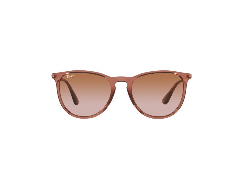 Ray-Ban Erika Zonnebril RB 4171 6590/13