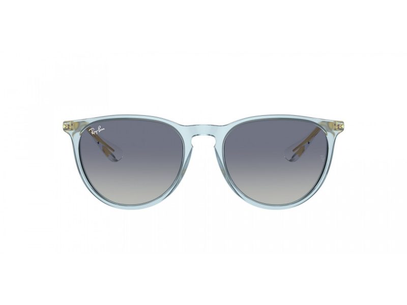 Ray-Ban Erika Zonnebril RB 4171 67434L