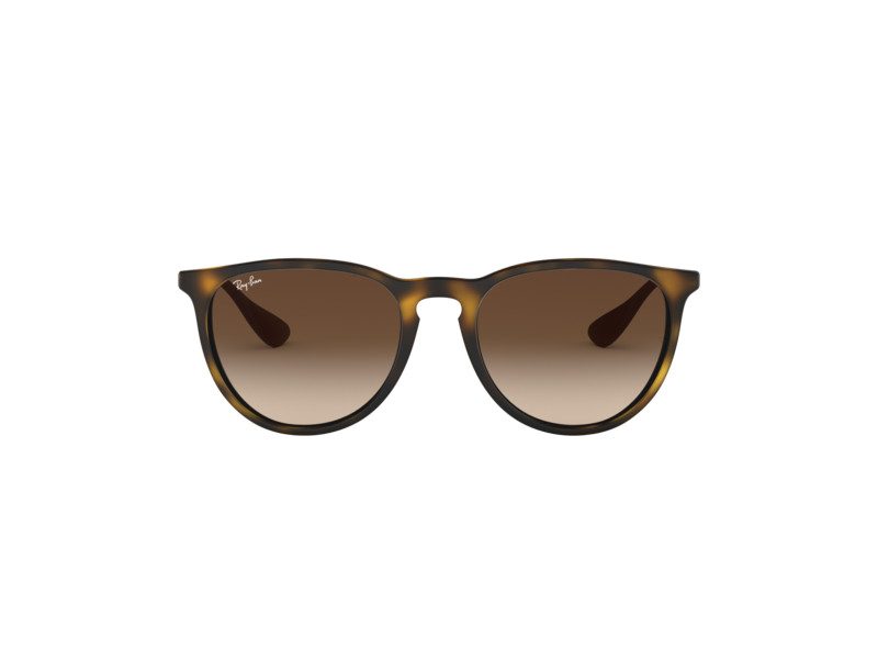 Ray-Ban Erika Zonnebril RB 4171 865/13