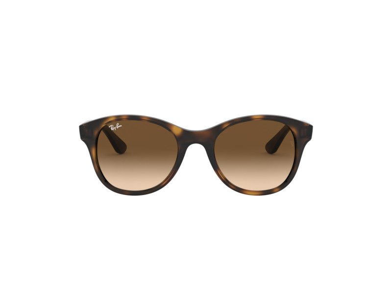 Ray-Ban Zonnebril RB 4203 710/13