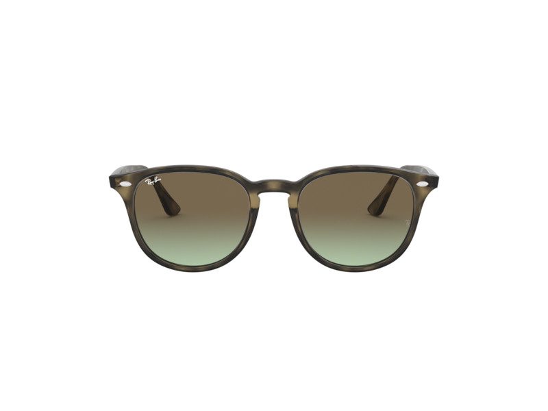 Ray-Ban Zonnebril RB 4259 731/E8