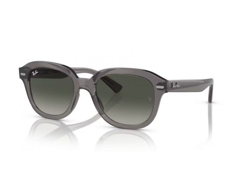 Ray-Ban Erik Zonnebril RB 4398 667571