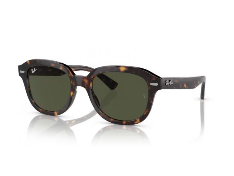 Ray-Ban Erik Zonnebril RB 0RB4398 902/31