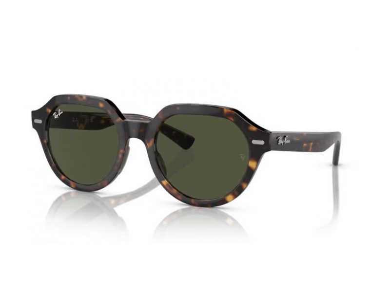 Ray-Ban Gina Zonnebril RB 4399 902/31