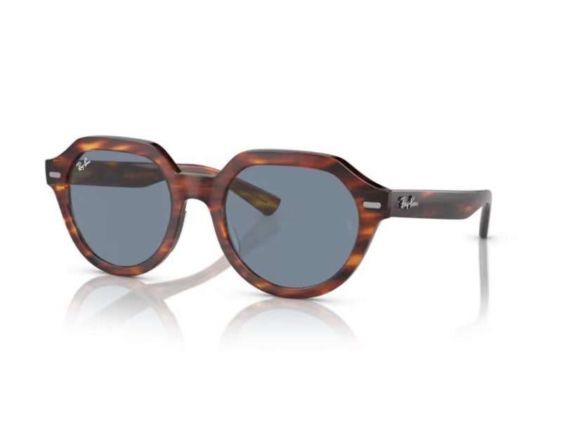 Ray-Ban Gina Zonnebril RB 4399 954/62