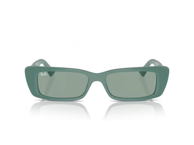 Ray-Ban Teru Zonnebril RB 4425 676282