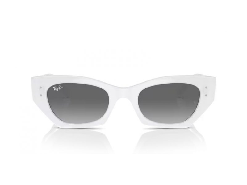 Ray-Ban Zena Zonnebril RB 4430 675911