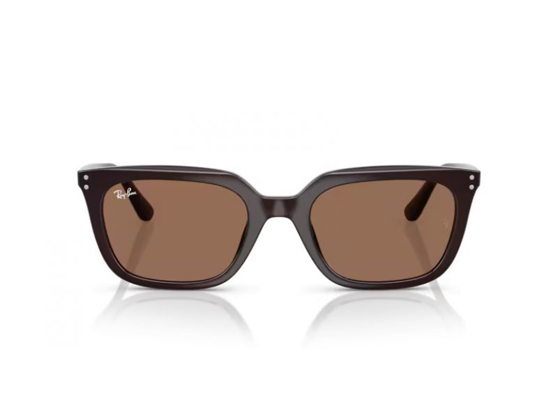 Ray-Ban Zonnebril RB 4439D 623173