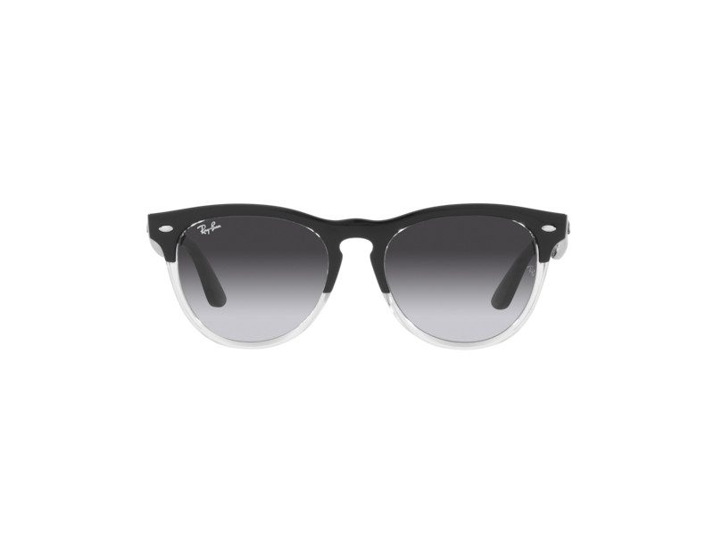 Ray-Ban Iris Zonnebril RB 4471 6630/8G