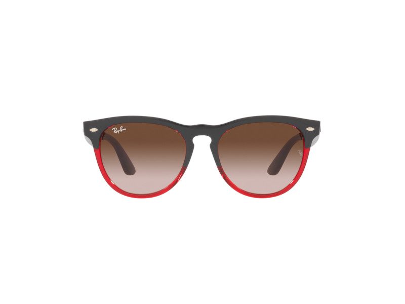 Ray-Ban Iris Zonnebril RB 4471 6631/13