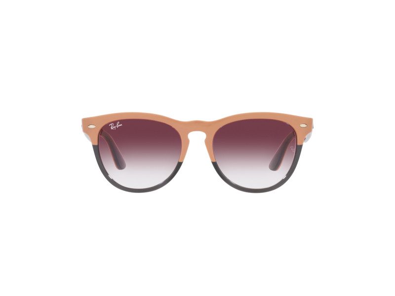 Ray-Ban Iris Zonnebril RB 4471 6633/8H