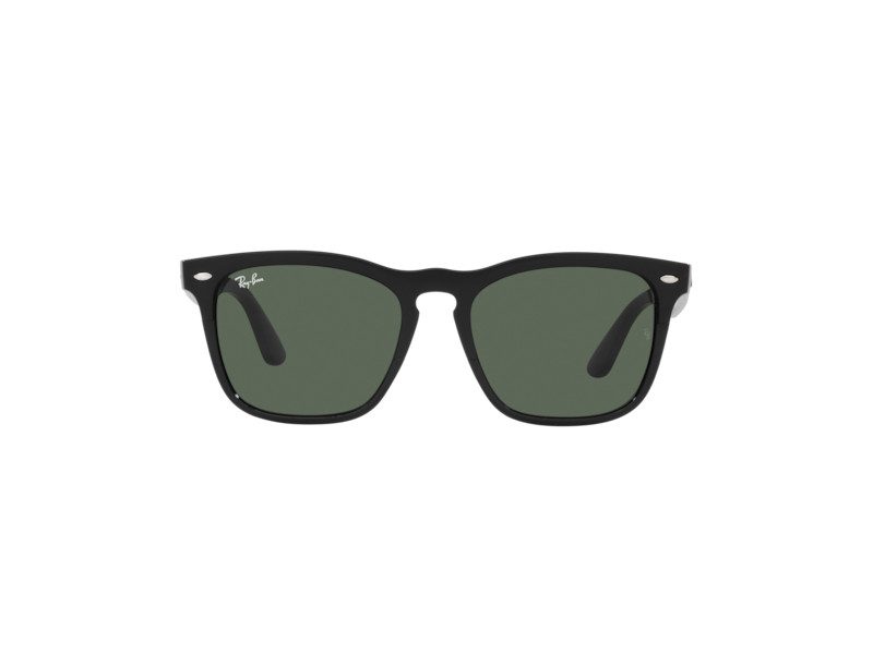 Ray-Ban Steve Zonnebril RB 4487 6629/71