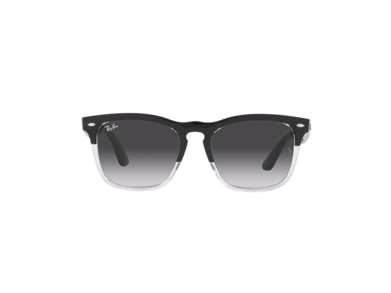 Ray-Ban Steve Zonnebril RB 4487 6630/8G