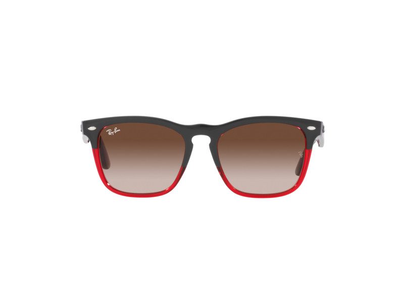 Ray-Ban Steve Zonnebril RB 4487 6631/13