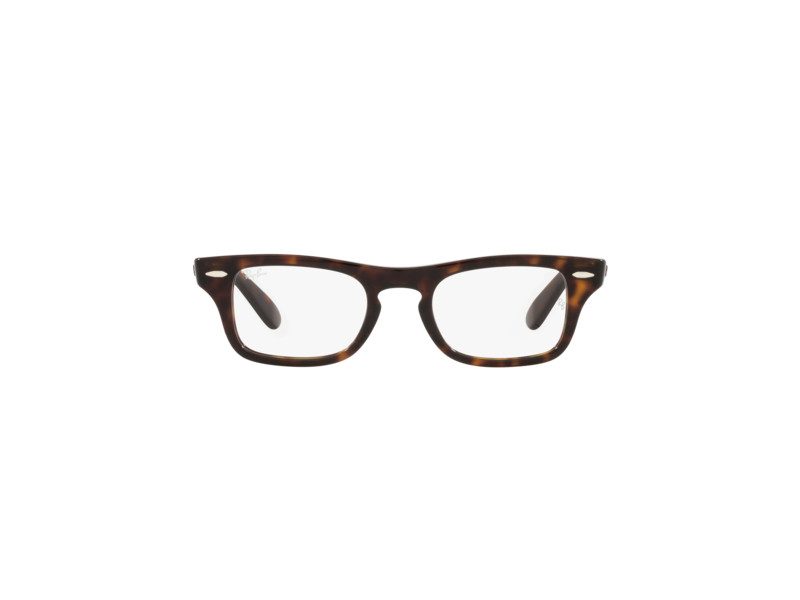 Ray-Ban Burbank Jr Brillen RY 9083V 3887